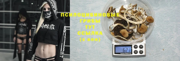 мескалин Фурманов