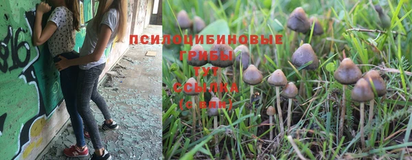 молекула духа Ханты-Мансийск