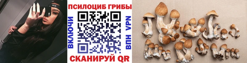 Псилоцибиновые грибы GOLDEN TEACHER  Купить  Советск 